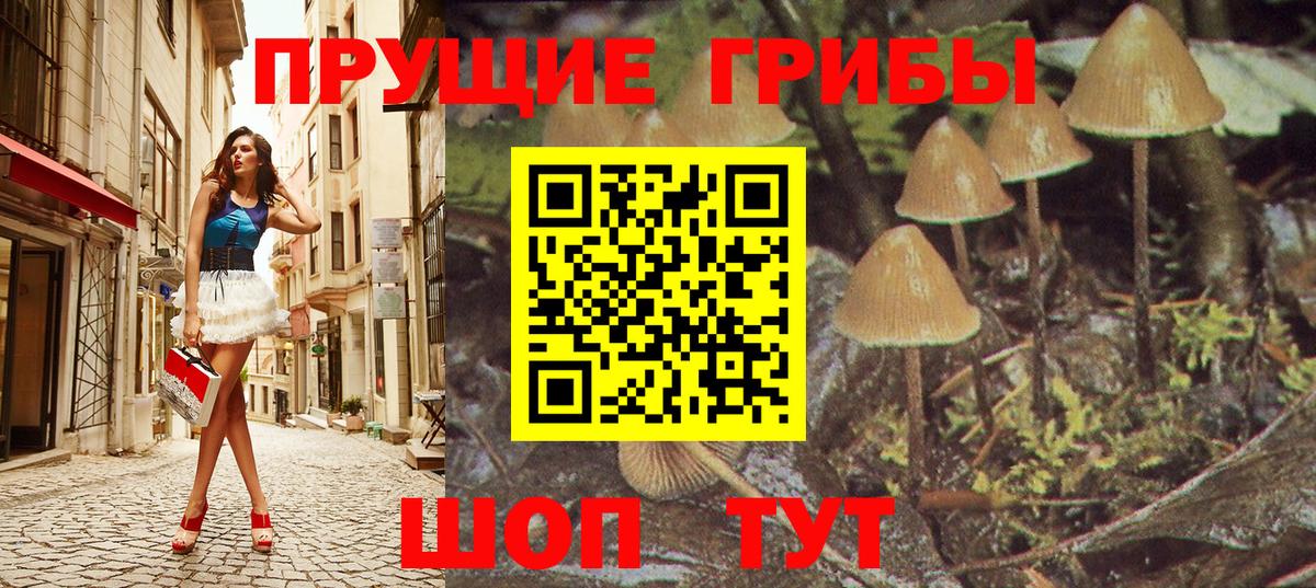 Галлюциногенные грибы прущие грибы Воскресенск