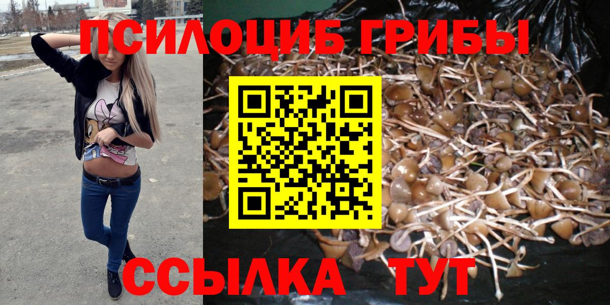 Галлюциногенные грибы Psilocybe  Вход с VPN  Псилоцибиновые грибы Psilocybe  магазин  наркотиков  Воскресенск 